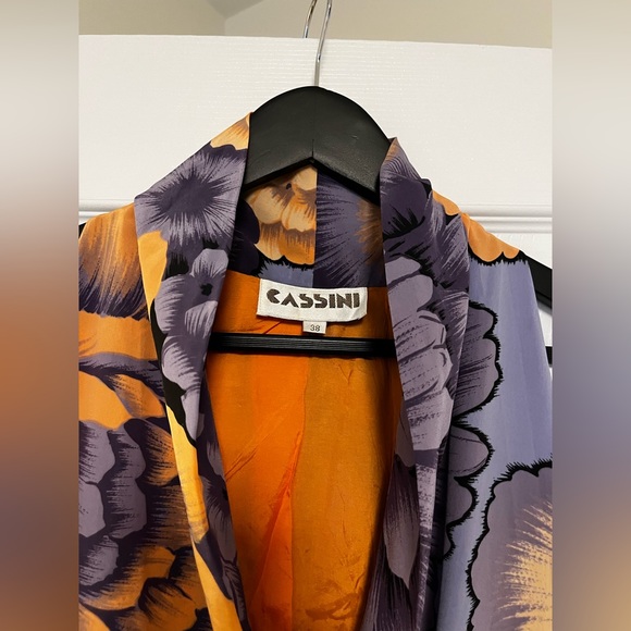 Cassini Dress / Vest - Picture 3 of 3